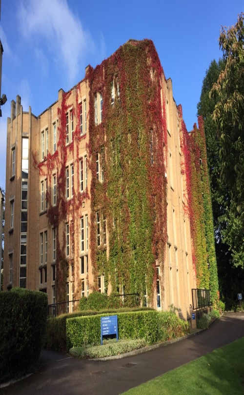 Richmond American University London